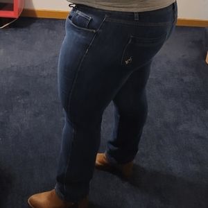 Babyphat jeans, size 24 mid rise